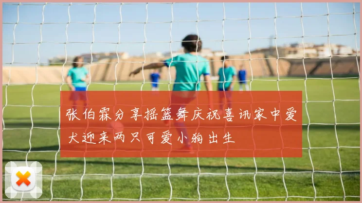 张伯霖分享摇篮舞庆祝喜讯家中爱犬迎来两只可爱小狗出生