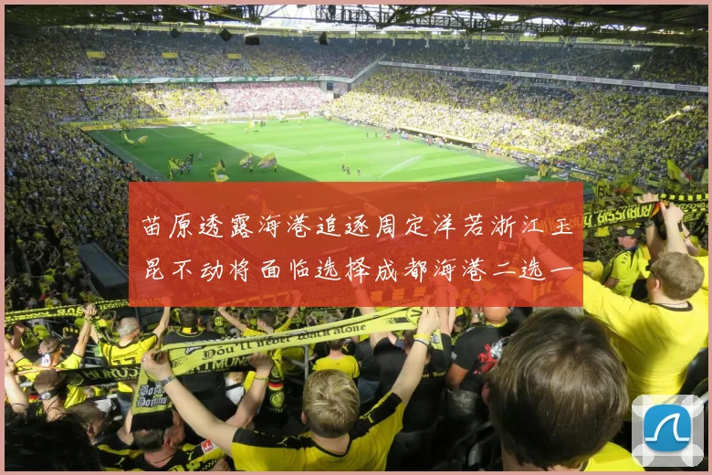 苗原透露海港追逐周定洋若浙江玉昆不动将面临选择成都海港二选一